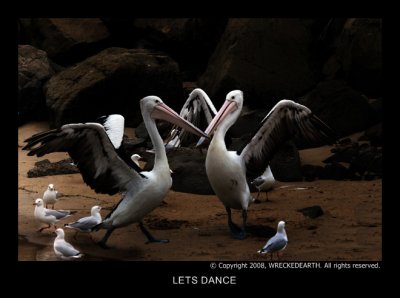 LETS DANCE.jpg