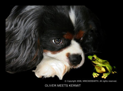 oliver meets kermit.jpg