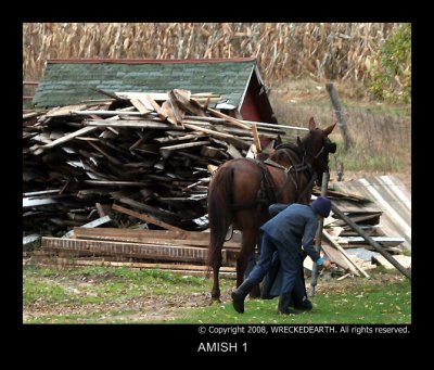 amish