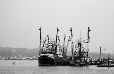 Montauk