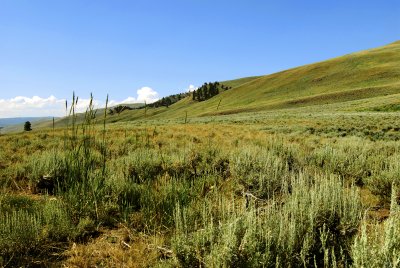 20080727-_DSC2724M.jpg