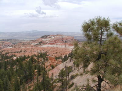 Bryce.P7101319.JPG