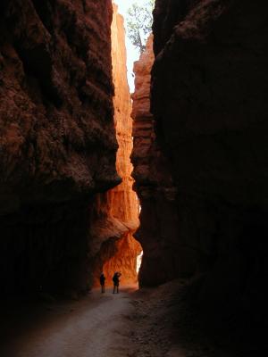 Bryce.P7111361.JPG