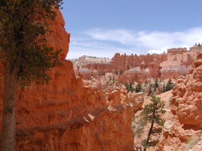Bryce.P7111372.JPG
