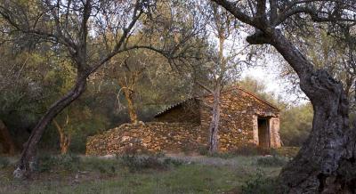 Linares Hut 3