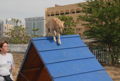 DSC_0066.jpg