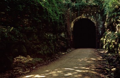 Badger Trail Tunnel Nokton 58mm.jpg