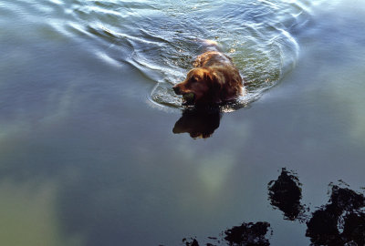 Karat swimming Nokton 58mm.jpg