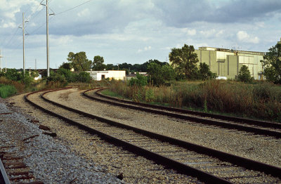 Plant and railroad tracks Nokton 58mm.jpg