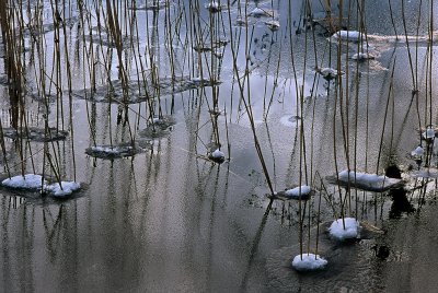 A249328_024.jpg