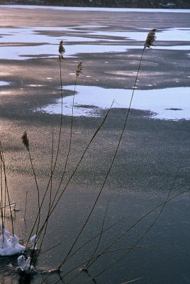 A249328_030.jpg