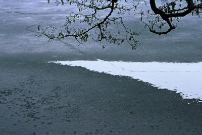 A249328_036.jpg