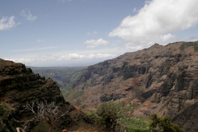 _MG_3878.jpg