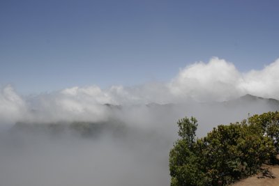 _MG_3918.jpg