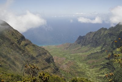 _MG_3930.jpg