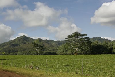 _MG_3966.jpg