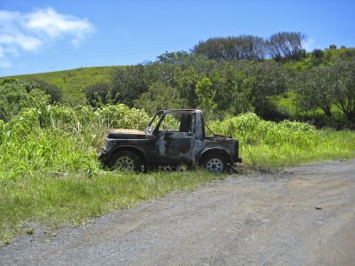 IMG_0695.jpg