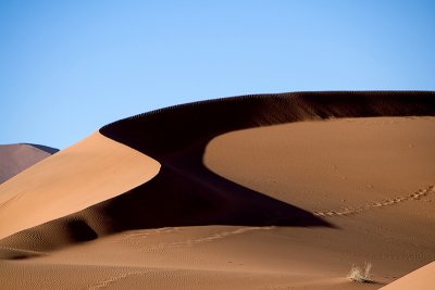 g3/98/592398/3/114322550.MK8D4NR8.jpg