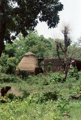 North Ghana Compounds and Houses