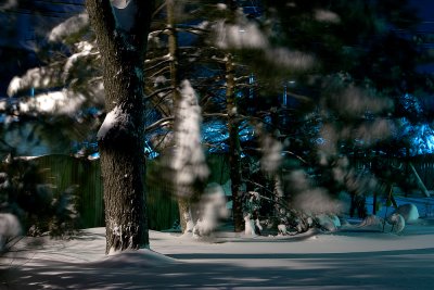 February Snow Back Yard at Night.