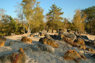 Fort de Fontainebleau, 2007