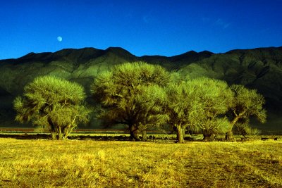 moon over sierra nevada