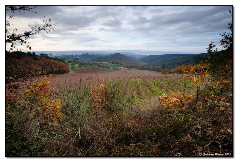 Colline toscane dinverno (2)