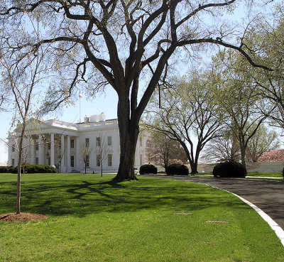 White House