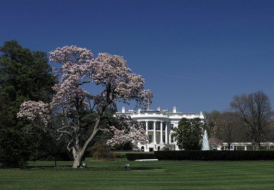 White House