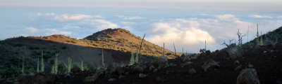 mauna kea above the clouds