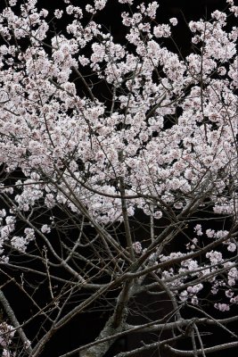 g3/98/670198/3/111594066.v3bb6x3A.jpg