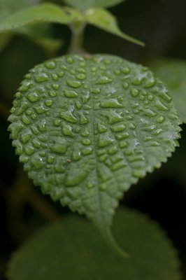 g3/98/670198/3/66684003.jx9zGSvL.jpg
