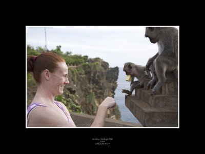Feeding the Monkeys