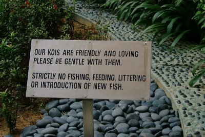 Singapore - Dont eat the fish in case you were thinking of it