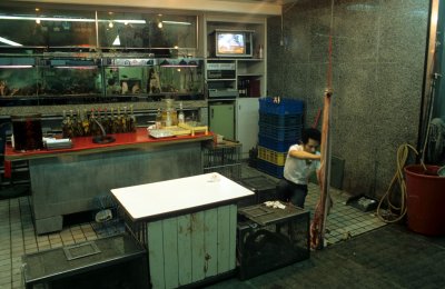 g3/98/696298/3/109410042.xPi9efPo.jpg