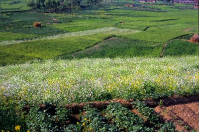 Nagarkot