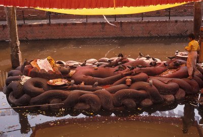 Budhanilkantha. Reclining Vishnu