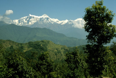 Anapurna