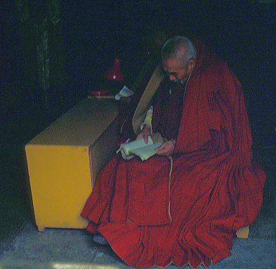 A scene inside the Lama Temple