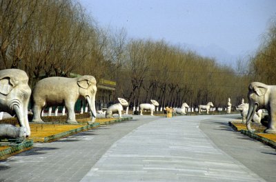 Promenade to the Ming Tombs