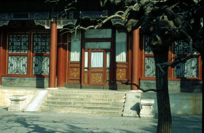 The Summer Palace