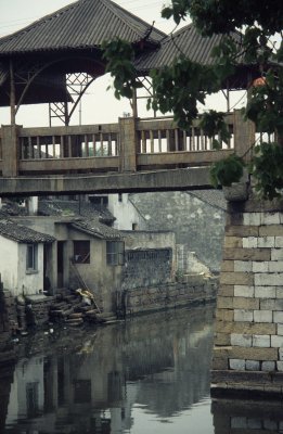 Tongli