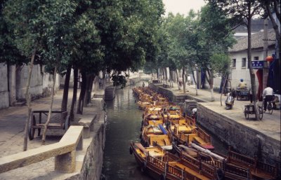 Tongli