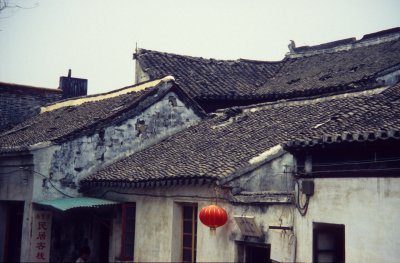 Tongli