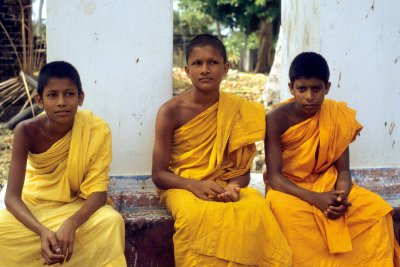 Sri Lanka Tour 1982