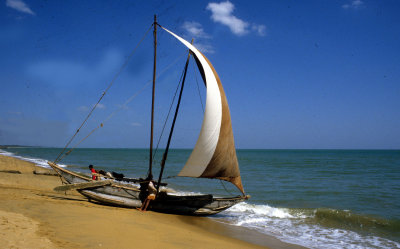 Ngombo