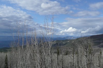 g3/98/744798/3/124724699.8b6msB2S.jpg