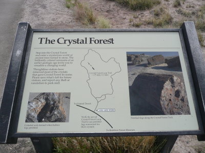 The Crystal Forest is found in the southern section of The Petrified Forest