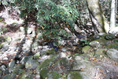 ...It's just a little brook this year