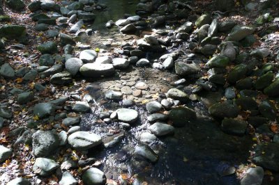 The stream that flows next to the tent sites at the campground
